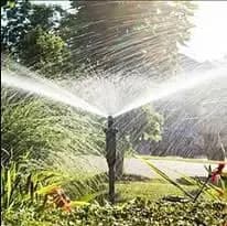 Lawn sprinkler watering grass in a sunny garden with vibrant greenery.