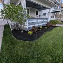 Landscaped front yard featuring black mulch, green shrubs, and fresh grass by a house.